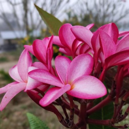 Nakakiri Resort&Spa Hin Dat Bagian luar foto