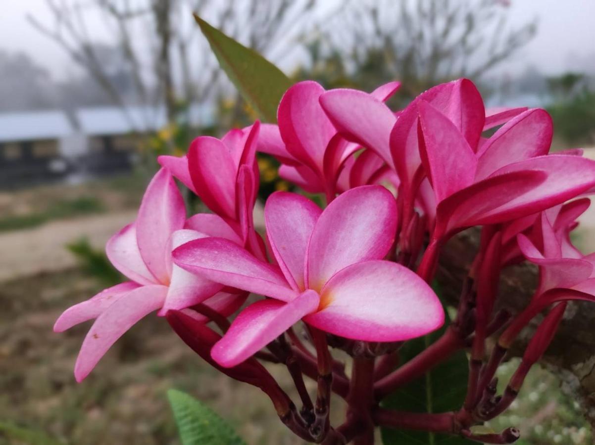 Nakakiri Resort&Spa Hin Dat Bagian luar foto